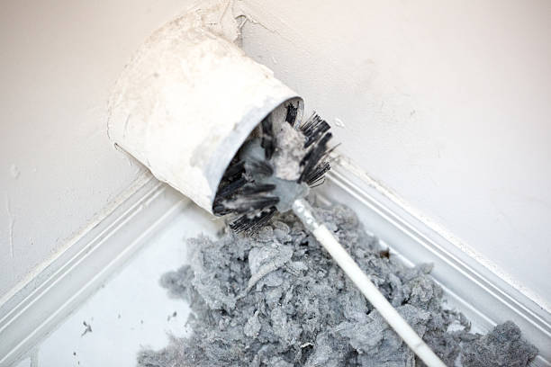Best Air Vent Cleaning Services  in Kearny, AZ